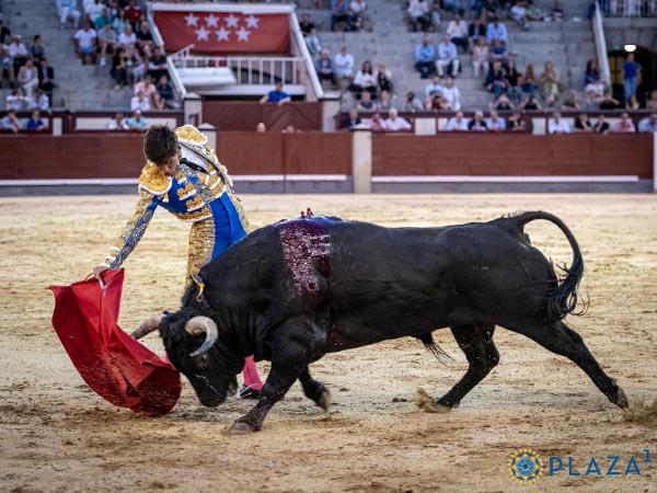 Por el derecho