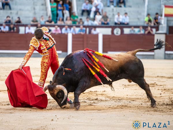 Bajando la mano