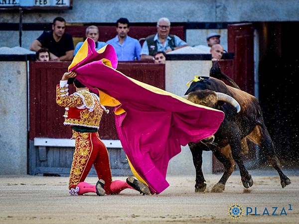 Pedro Gallego a portagayola