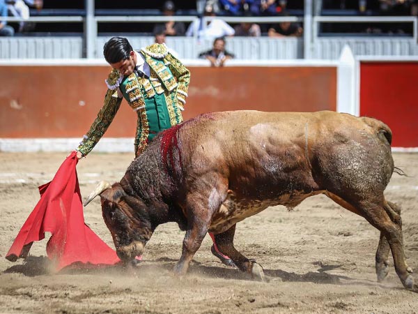 El derecho del salinero