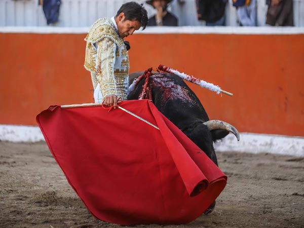 Lucida faena de Zapata