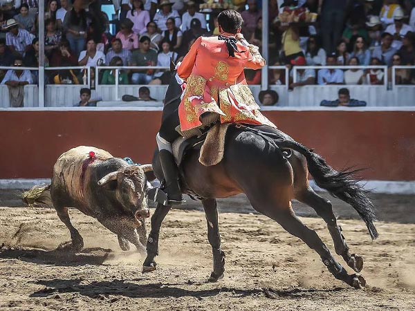 Poder en la faena