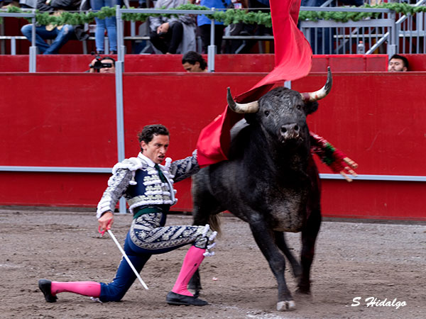 De hinojos