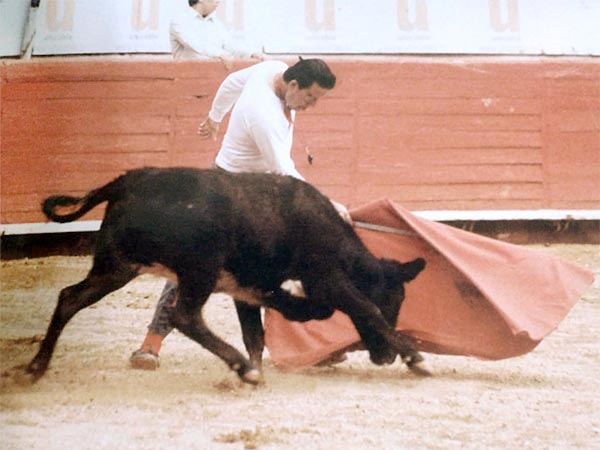 Torero cmico con seriedad