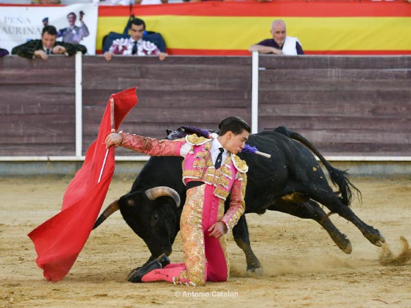 Torero recio y valiente