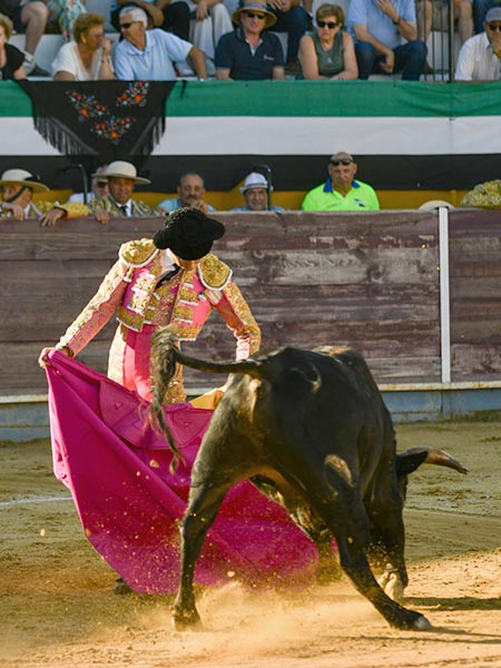 Jaleado en sus lances