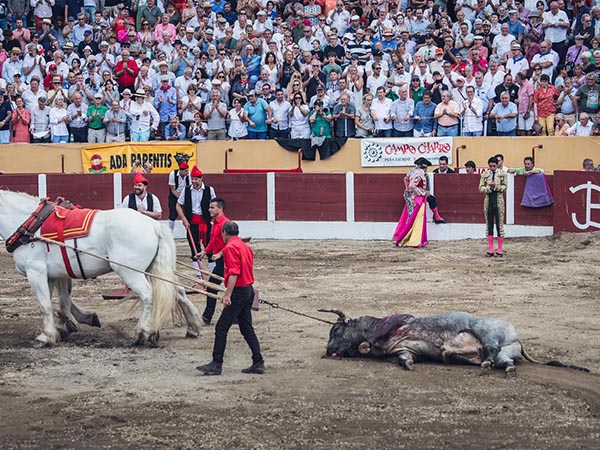 Sergio Flores, la nica oreja en Cret