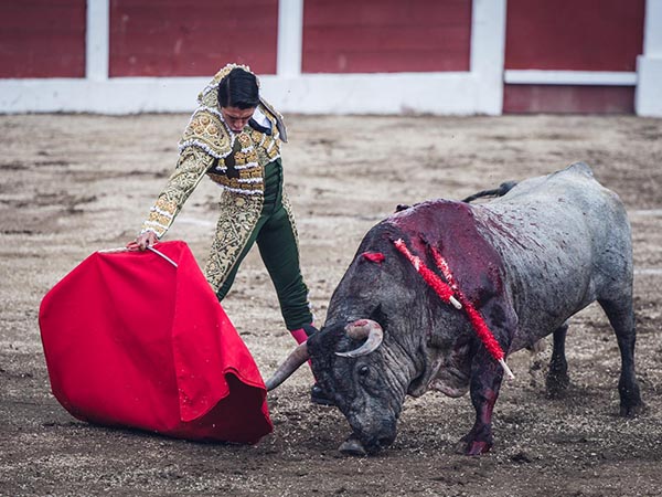 Acompasado