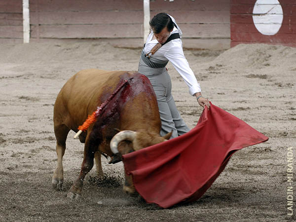 Sentimiento en los naturales