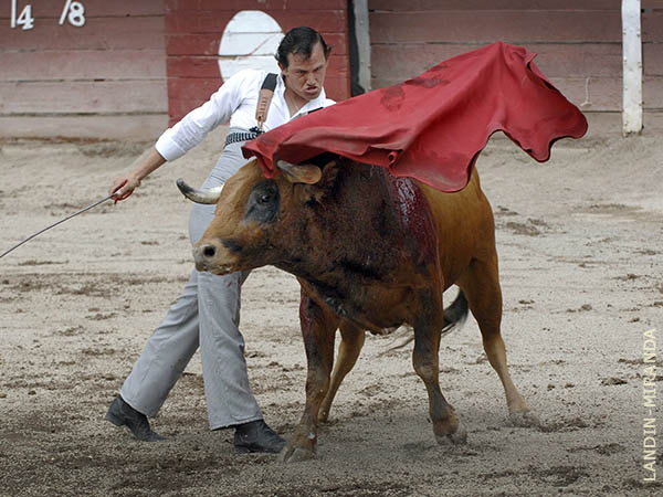 Barriendo los lomos