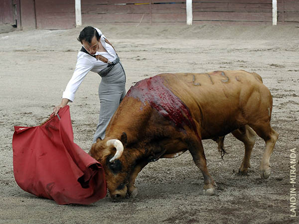 Metiendo la cara abajo