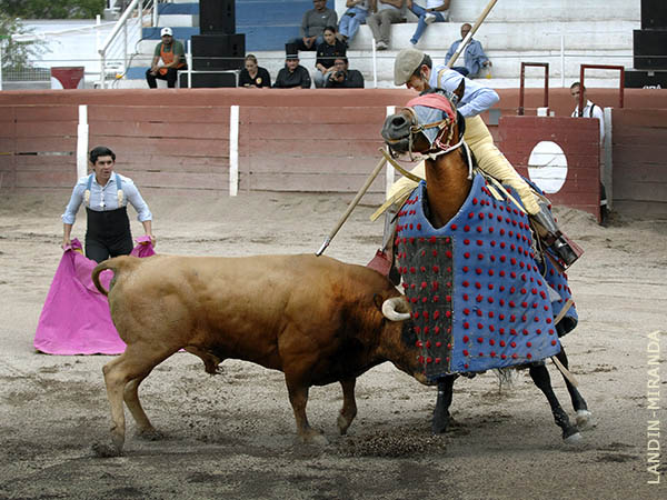 Memo Cobos, en todo lo alto