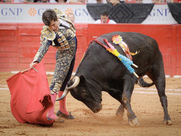 nimo en el torero