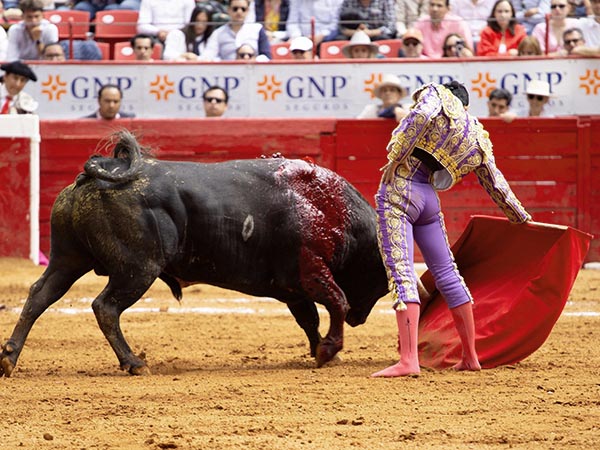 Sentimiento torero