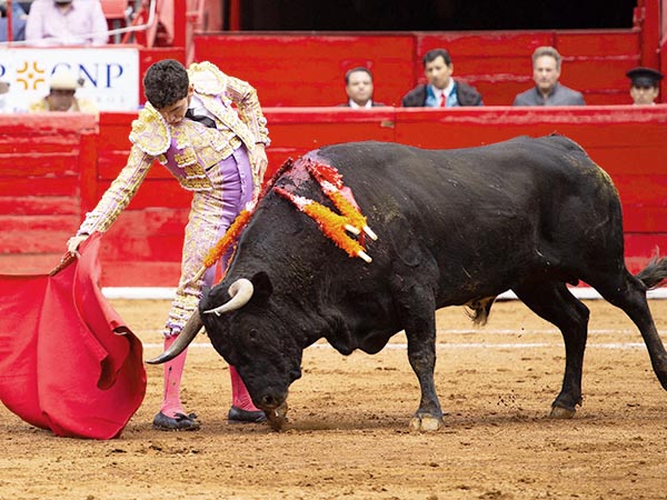 Solvencia de joven torero