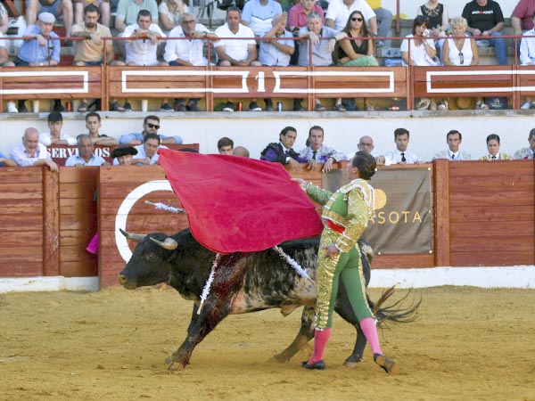 La mirada en el tendido