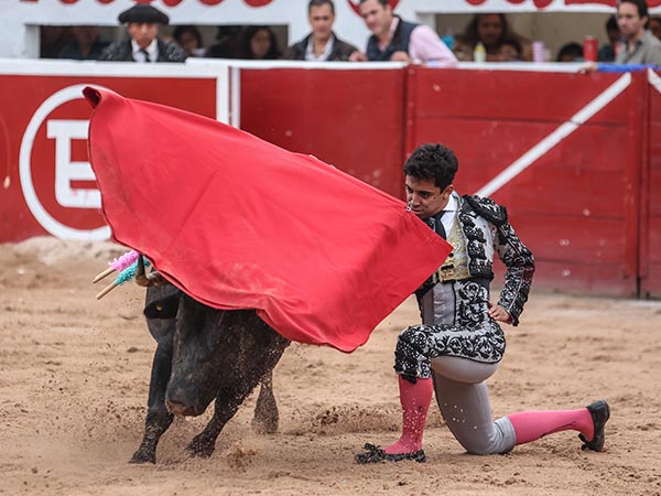 Remate rodilla en tierra