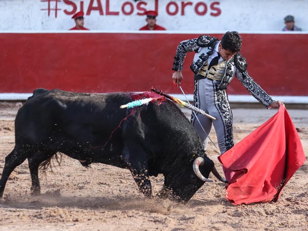 La zurda de Leo