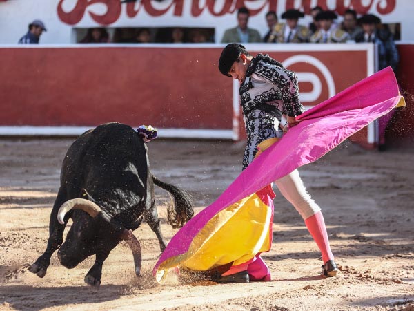 El vuelo del percal