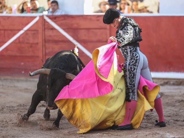 Lances de saludo