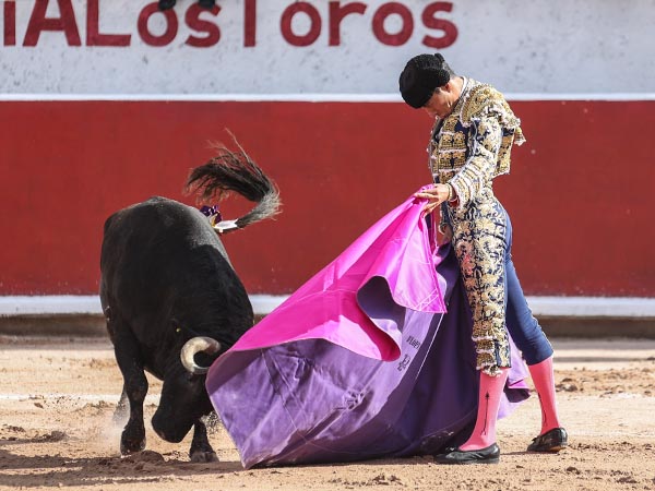 Las vernicas de Flores