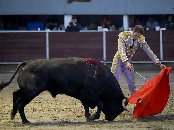 Lidi el lote complicado