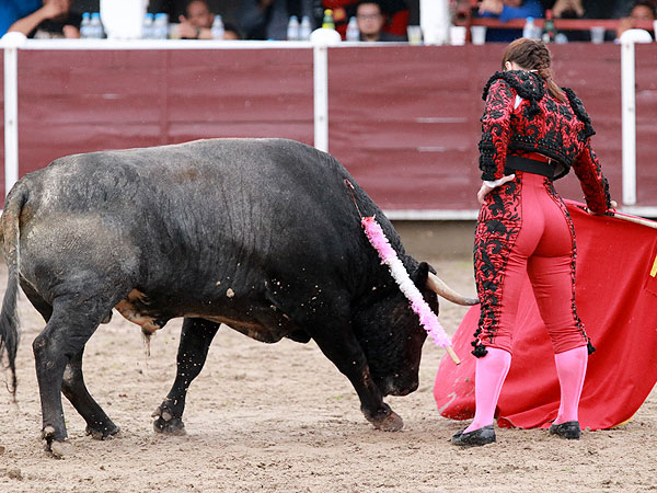 Calidad en la embestida