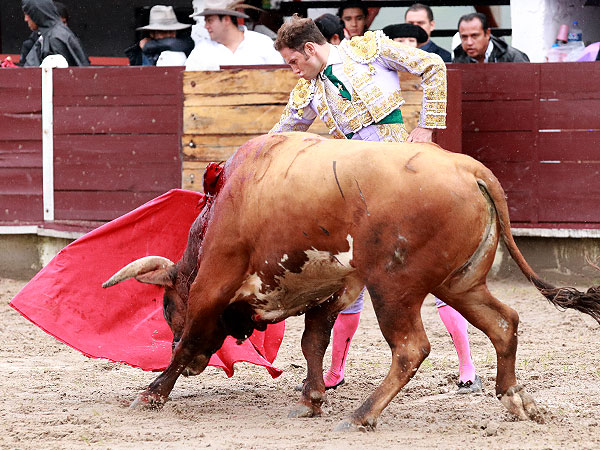 Cuauhtmoc corta la nica oreja en Xico