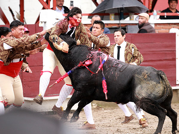 Forcados Amadores de Mxico