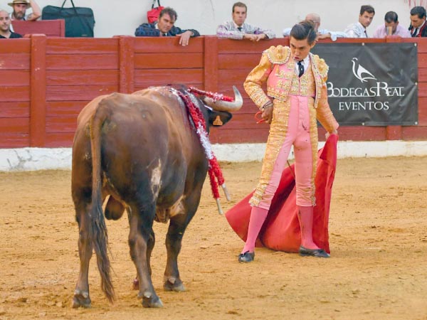 Una pausa en la lidia