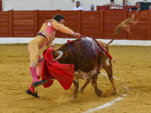 Partido en dos