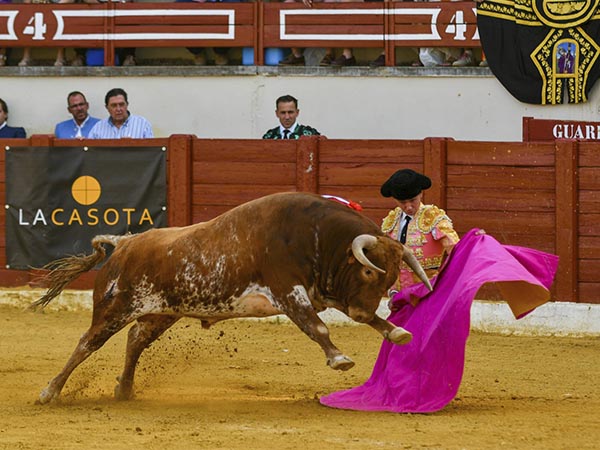 Rodilla en tierra