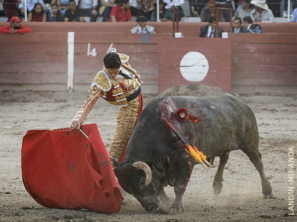 Entregados, toro y torero