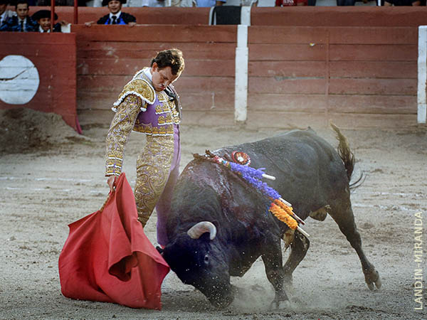 Raza de matador