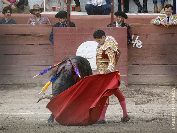 Muleta de terciopelo