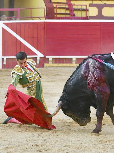 Rodilla en tierra