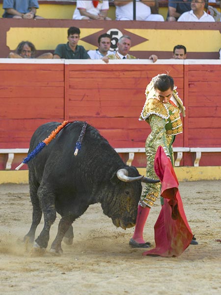 Evocando a El Lobo