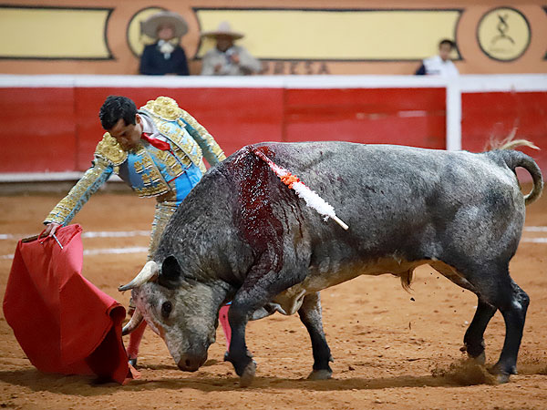 Apuntando el toreo bueno