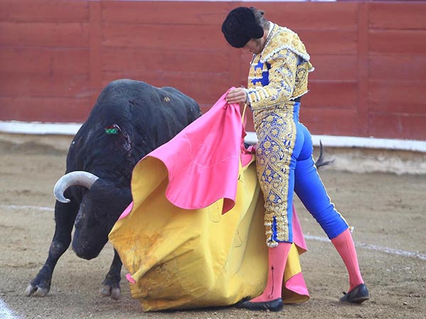 El Payo en Estella