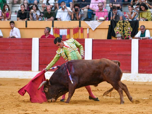 Un castao del Conde de Mura