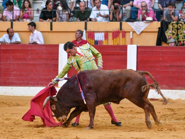 Temple, por el derecho