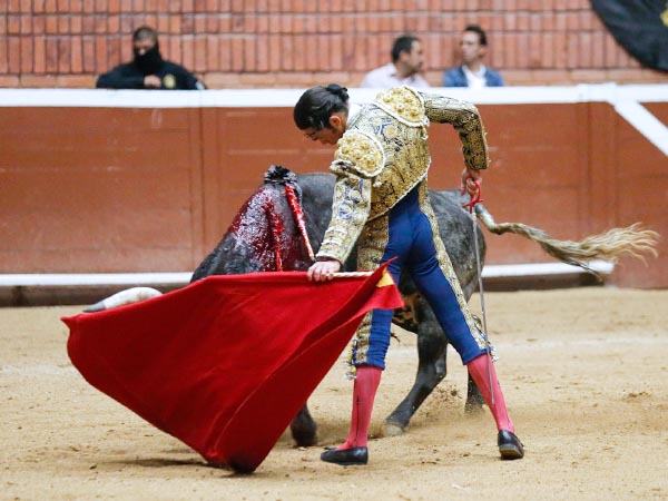 Tirando del crdeno