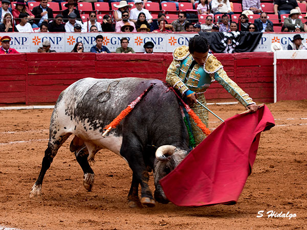 Kevin Loyo, dejo ir brillante oportunidad