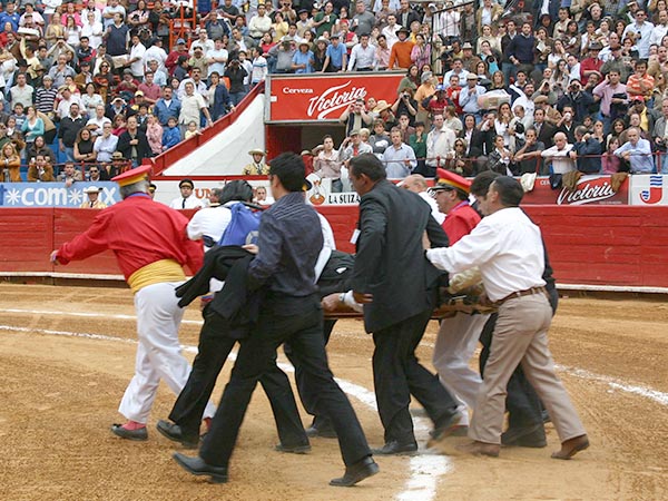 Monosabios capacitados en la plaza