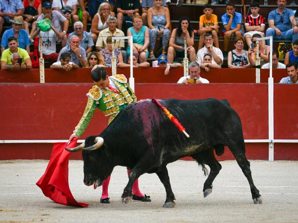 Faena al negro