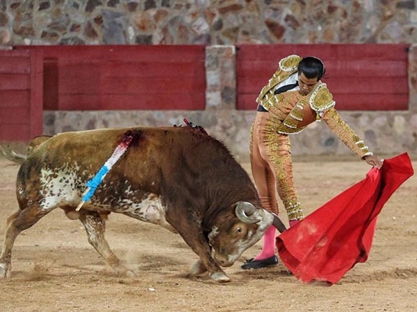 Por el lado zurdo