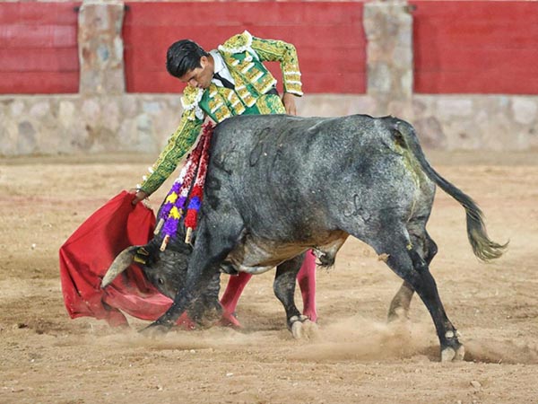 Faena en los medios