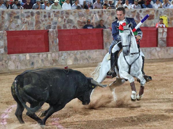 Valientes. jaca y jinete