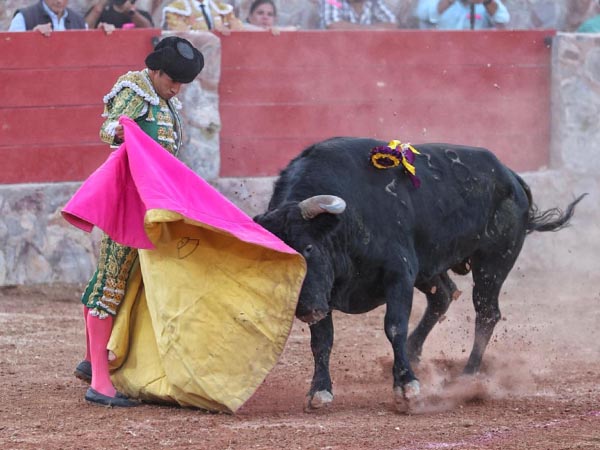 Calita, a la vernica