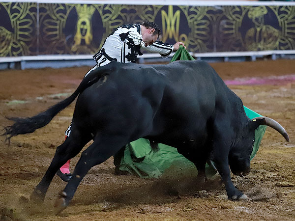 Ferrera decisin y torera